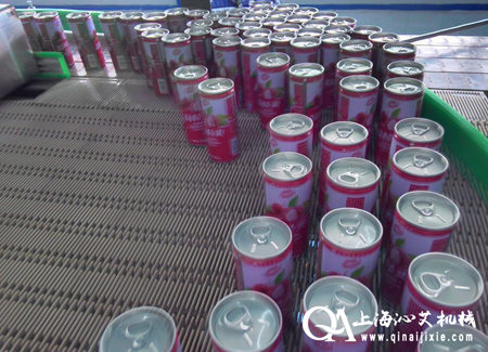 模塊網(wǎng)帶鏈輸送機 模塊網(wǎng)帶鏈輸送機