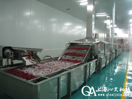 水果氣泡清洗機(jī) 水果氣泡清洗機(jī)