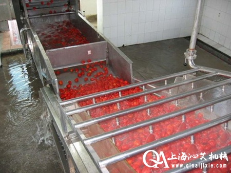 水果氣泡清洗機(jī) 水果氣泡清洗機(jī)