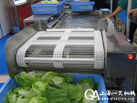 蔬菜氣泡清洗機(jī) 蔬菜氣泡清洗機(jī)