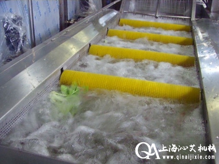 蔬菜氣泡清洗機(jī) 蔬菜氣泡清洗機(jī)