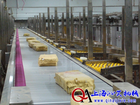 滑塊分揀輸送系統(tǒng) 滑塊分揀輸送系統(tǒng)