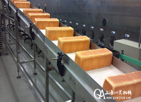 食品網(wǎng)帶鏈輸送機(jī)